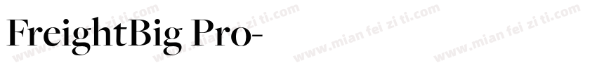 FreightBig Pro字体转换